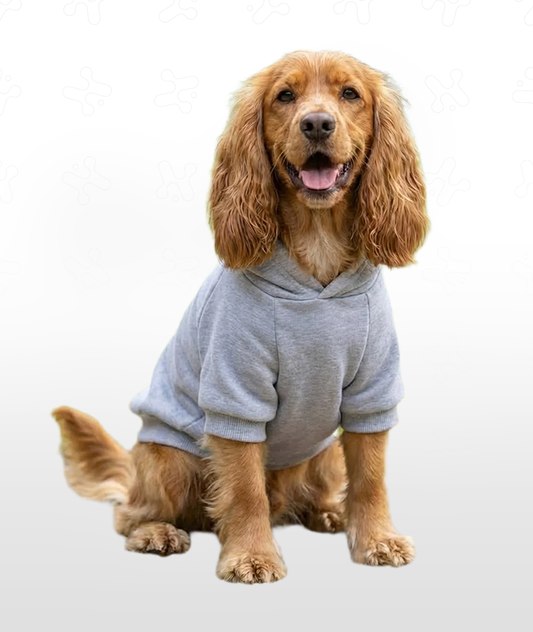 Dog's Hoodie