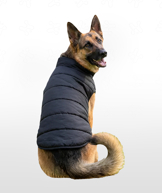 Dog's Puffer Jacket