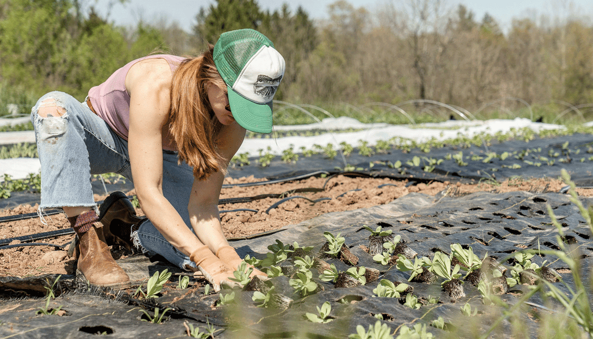 Agriculture